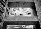 Parkour Athletes by Linda Jackson